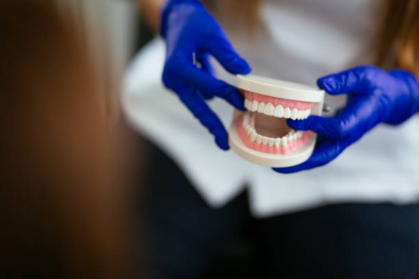 Best Full Mouth Reconstruction  in Staples, MN
